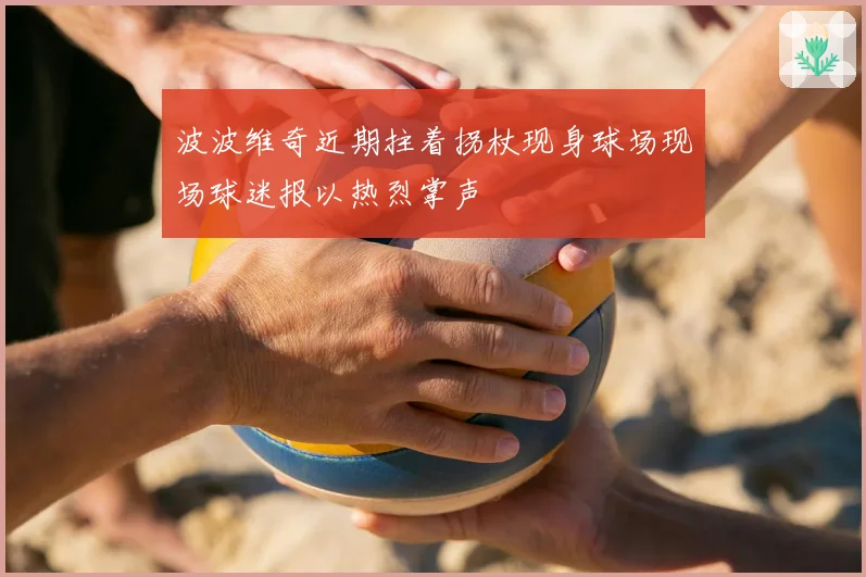波波维奇近期拄着拐杖现身球场现场球迷报以热烈掌声